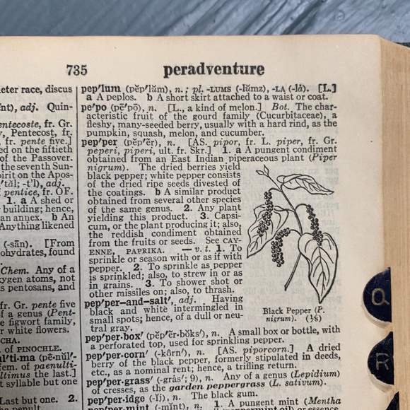 COPY - Vintage Websters Collegiate Dictionary Book Ephemera Paper Farmhouse Dec… - Picture 5 of 10
